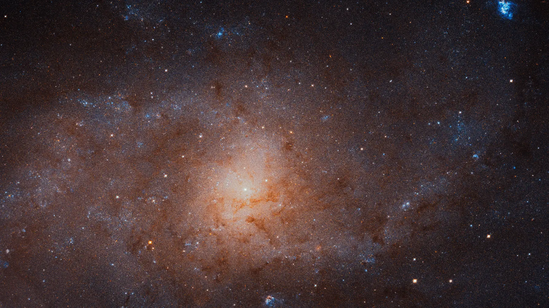 The Triangulum Galaxy (M33) — Hubble mosaic, 54 pointings, 665 million pixels